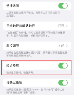 丰润苹果授权维修站分享iPhone轻点无法唤醒怎么办 