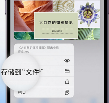 丰润apple维修中心分享iPhone文件应用中存储和找到下载文件