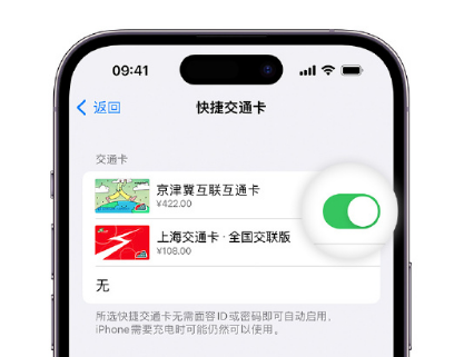 丰润apple维修点分享iPhone上更换Apple Pay快捷交通卡手绘卡面 