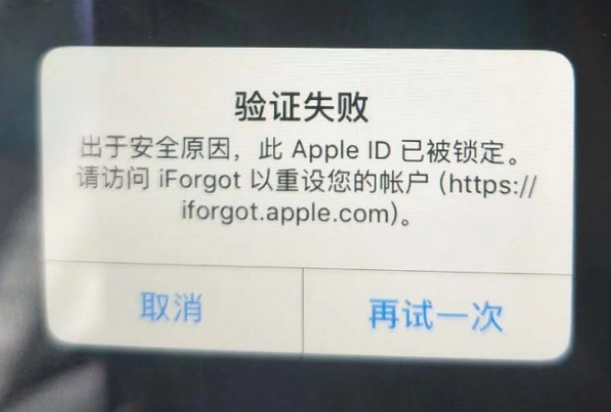 丰润iPhone维修分享iPhone上正常登录或使用AppleID怎么办 