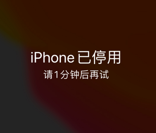 丰润苹果手机维修分享:iPhone 显示“不可用”或“已停用”怎么办？还能保留数据吗？ 