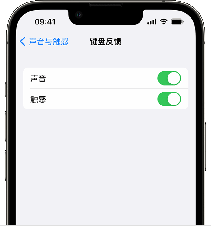 丰润苹果14维修店分享如何在 iPhone 14 机型中使用触感键盘 