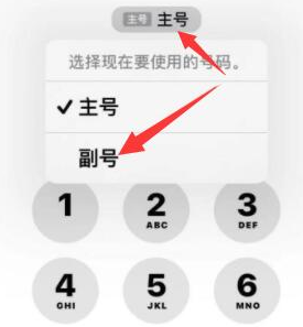 丰润苹果14维修店分享iPhone 14 Pro Max使用副卡打电话的方法 