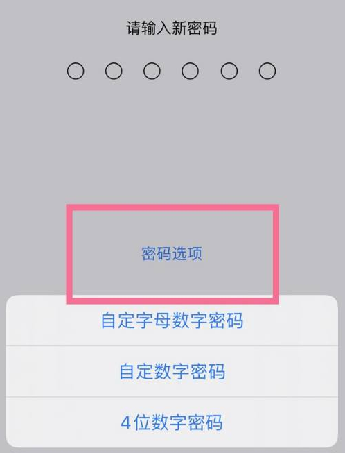 丰润苹果14维修分享iPhone 14plus设置密码的方法 