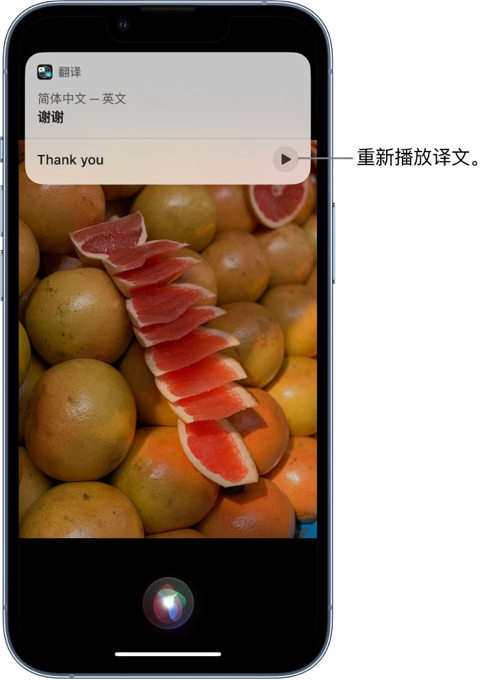 丰润苹果14维修分享 iPhone 14 机型中使用 Siri：了解 Siri 能帮你做什么 