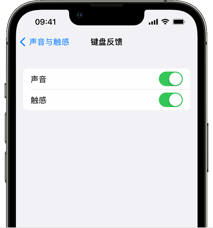 丰润苹果14维修分享iPhone 14 系列机型如何开启键盘声音或触感反馈 