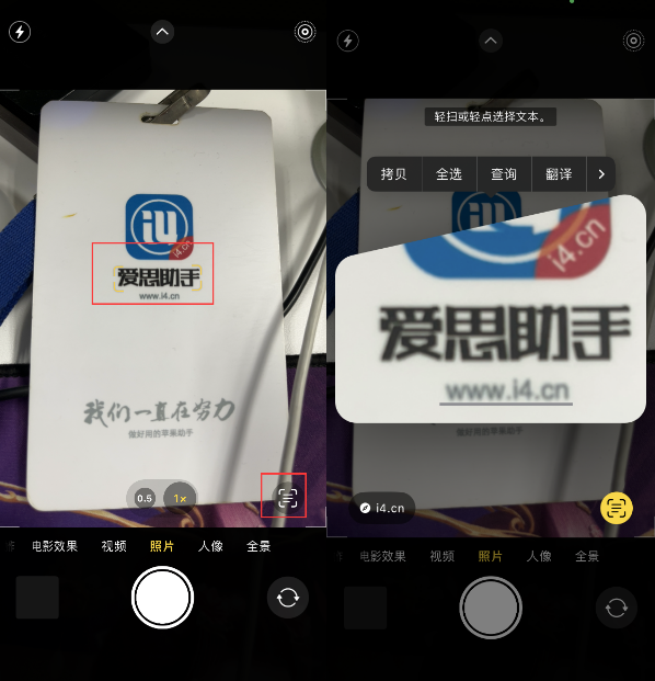 丰润苹果手机维修分享升级iOS 16后如何通过相机翻译文本 