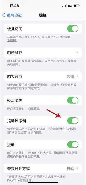 丰润苹果手机维修分享iPhone手机如何设置摇一摇删除文字 