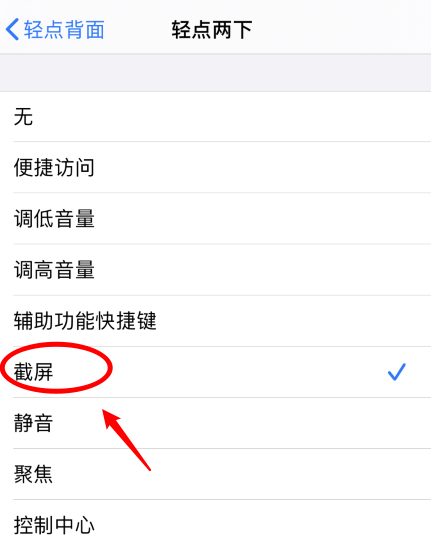 丰润苹果手机维修分享iPhone12如何启用双击截屏 