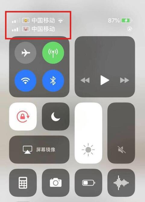 丰润苹果手机维修分享为 iPhone 12 双卡设置标签 